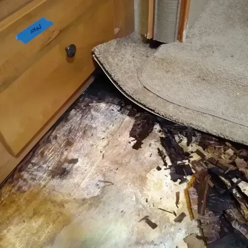 Wood Floor Water Damage in Kentwood, MI